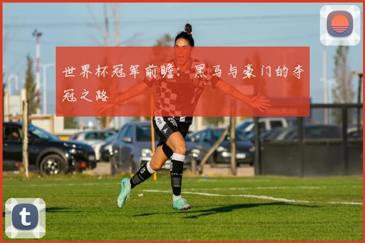 世界杯冠军前瞻：黑马与豪门的夺冠之路