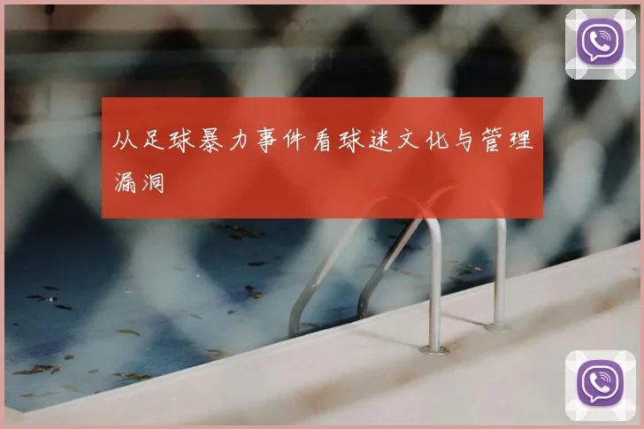 从足球暴力事件看球迷文化与管理漏洞